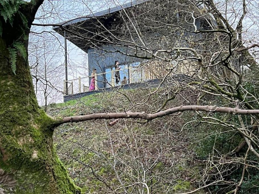 Luxury Lodge In The Treetops Llanbrynmair Exterior photo