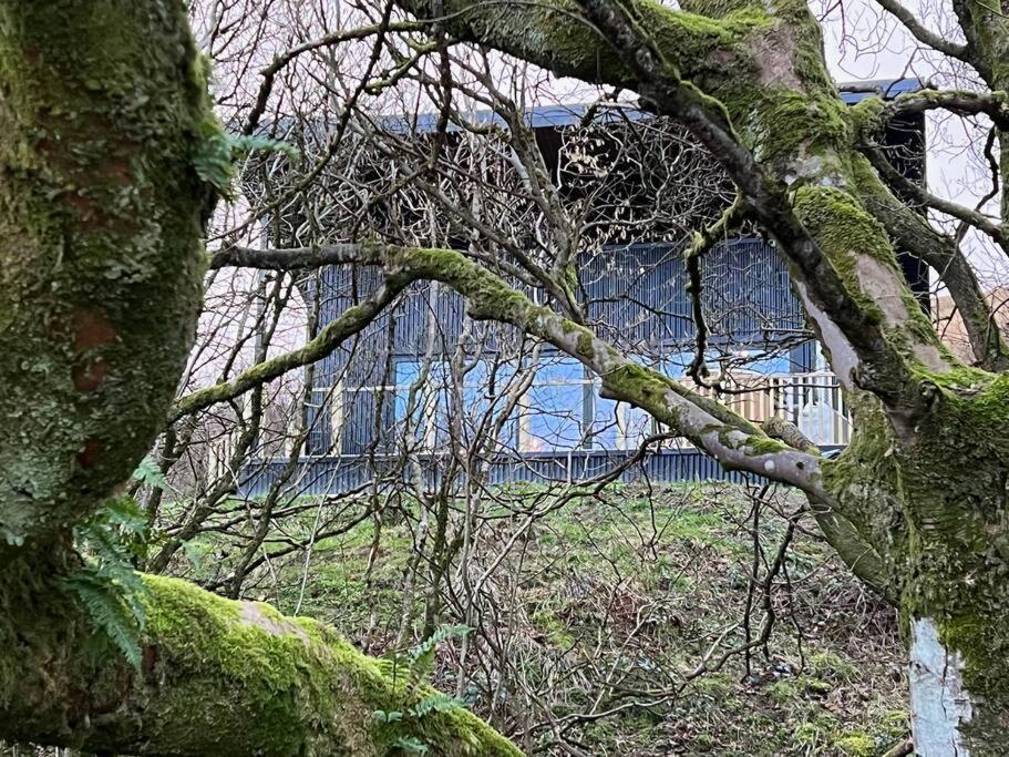 Luxury Lodge In The Treetops Llanbrynmair Exterior photo
